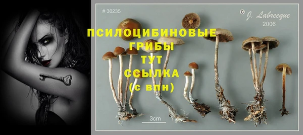 spice Верея