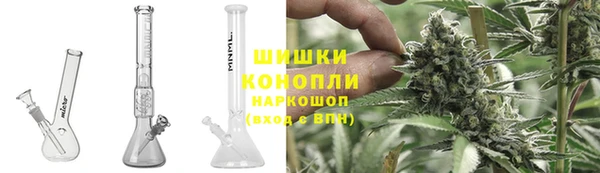 прущие грибы Верхнеуральск