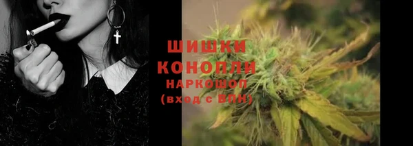 spice Верея