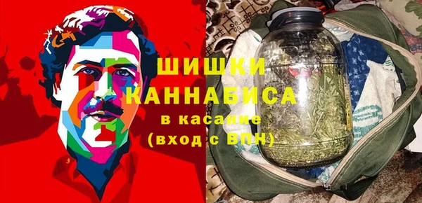 прущие грибы Верхнеуральск