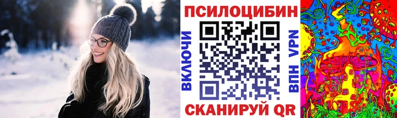 дарнет шоп  OMG онион  Галлюциногенные грибы прущие грибы  Луза 